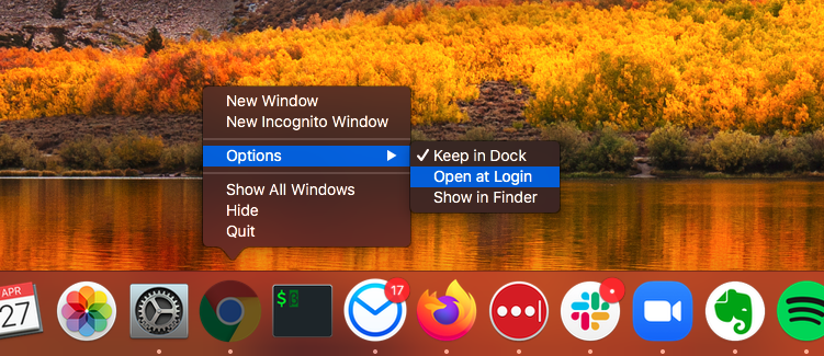 Chrome icon on Dock